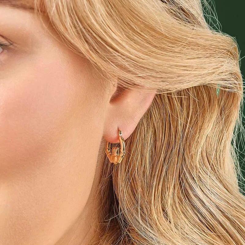 14k Gold Claddagh Creole Small Earrings1