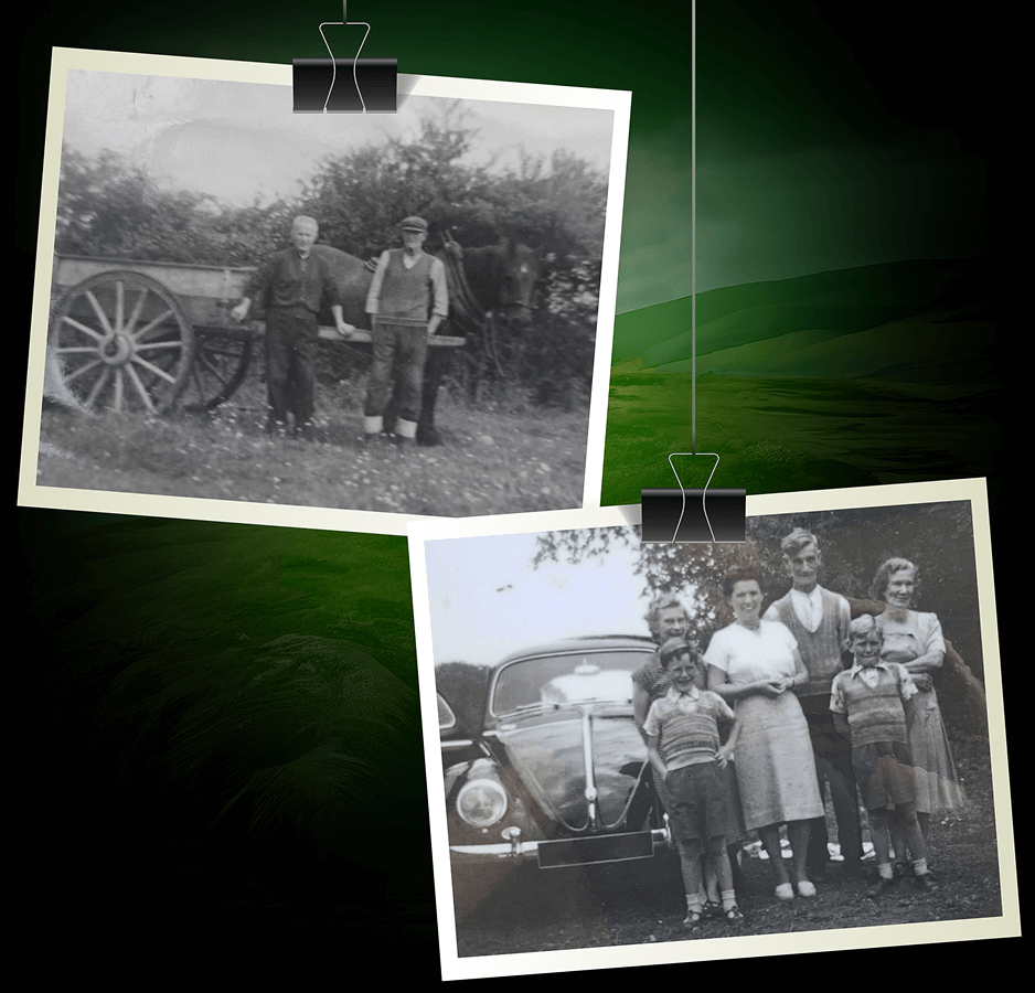 Finest Collection of Gold and Silver Jewelry from Ireland