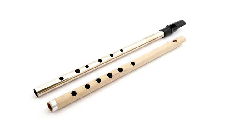 The Irish Tin Whistle