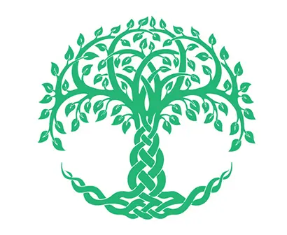 The Celtic Tree of Life: History And Meaning